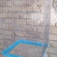 قفس کاسکویی موجود