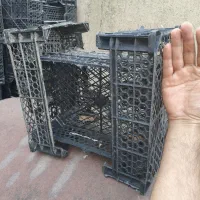 سبد مناسب میوه