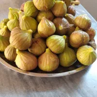 انجیر گلابی درشت وشیرین