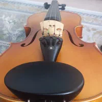 ویولن|ویولن|سنندج, |دیوار