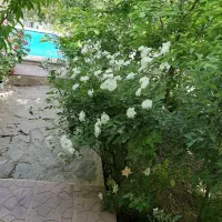 همخونه-دانشجو-تا-2نفر-فقط-خانم