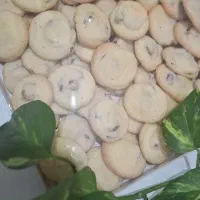 شیرینی خشک|خوردنی و آشامیدنی|مشهد, ایثارگران|دیوار