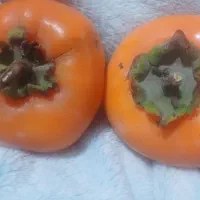 خرمالو رسیده