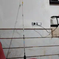 لنسر ماهیگیری