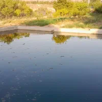 ملک شخصی عرصه اعیان