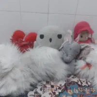 عروسک
