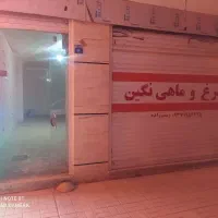 اجاره مغازه ۵۰ متری در صدف
