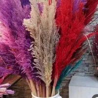 فروش-باغ