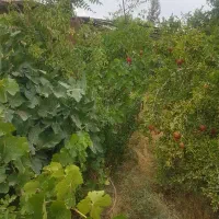 42متر-مغازه-تجاری-تهاتر