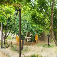 اجاره روزانه/هفتگی/ماهانه آپارتمان ۶۰۰ متری|اجارهٔ کوتاه‌مدت آپارتمان و سوئیت|ازنا, |دیوار