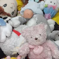 عروسک پولیشی