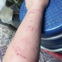 توهم دلت میخوادش