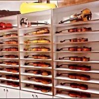 آموزش تخصصی ویولن توسط استاد دوامی|خدمات آموزشی|اصفهان, آبشار|دیوار