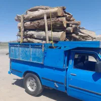 خریدار انواع چوب الات|خدمات باغبانی و درختکاری|گرمی, |دیوار