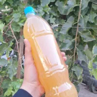 آبغوره