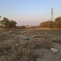 یک قطعه زمین در گل تپه کبیر|فروش زمین و ملک کلنگی|قلعه نو, |دیوار