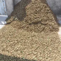 پوست بادام برای گوسفند بز.کهره.میش.اسب.گاو