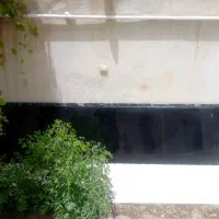 هود لمسی|هود|نیشابور, شهرک اندیشه|دیوار