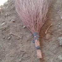 جارو دستی|لوازم نظافت|میاندوآب, |دیوار