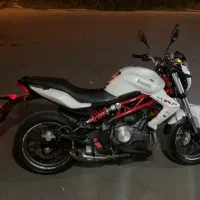 بنلی ۳۰۰ جفت در حد