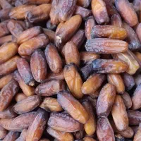 خرمادرجه1