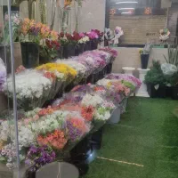 نیروی خانوم برای گلفروشی