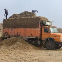 کاه گندم رفت کاه نیشکر آمده برداشت ۴۰۴|عمده‌فروشی|کرمانشاه, |دیوار