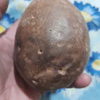 فروش سنگ مغناطیسی
