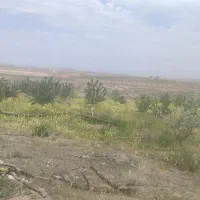 زمین باغی ۳ هکتار با سند ملکی و ۳ ساعت آب ۳ اینج