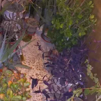 اجاره واحد ۱۳۵ متر در خیابان کوهسار|اجارهٔ آپارتمان|تهران, بهاران|دیوار