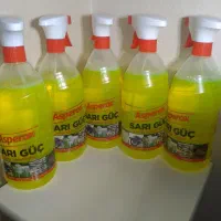 ساری قوچ (چربی زدا)