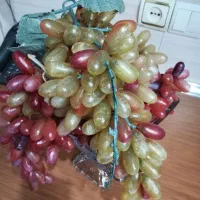 تزئینی|گل مصنوعی|ری, دیلمان|دیوار