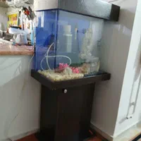 آکواریوم شیشه خم