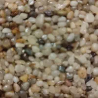 شن عربی،شن آکواریوم