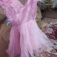 دون مجلسی نو