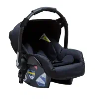 کریر نوزاد دلیجان