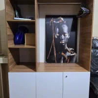 کمد تمام ام دی اف درب هایگلاس