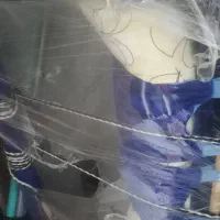 گهواره  بیشکه