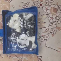 شطرنج حرفه ای و کاملا سالم