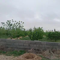 فروش زمین۵۲۱مترامتیازات برق وآب آسفالت فردوسی|فروش زمین و ملک کلنگی|مشهد, رضاشهر|دیوار