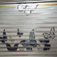 پرده زبرا