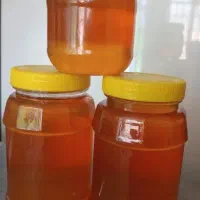 عسل/عسل طبیعی/اصل/کندو/