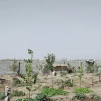 زمین باغی بهترین جای مشهد