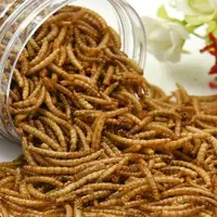 فروش میلورم زنده و خشک