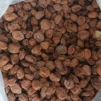 آلو خورشتی درشت امسالی