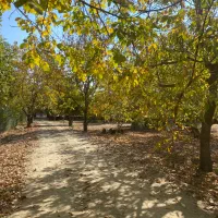 اجاره روزانه/هفتگی/ماهانه ویلا ۶۵ متری