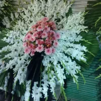 تاج گل ترحیم وافتتاحیه از ۱۴۰۰۰۰۰الی...|گل و گیاه طبیعی|اسلامشهر, شهرک مفیدی|دیوار