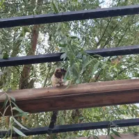 زن و شوهر  شبانه روزی