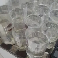 ماهی فایتر|ماهی|گلستان (تهران), |دیوار