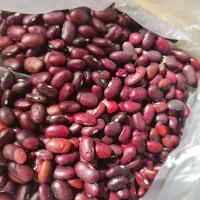 لوبیا قرمز خارجی|خوردنی و آشامیدنی|اصفهان, کوی امیریه|دیوار
